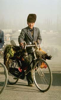 roosterbike