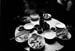 dumpling shop