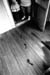 footprints
