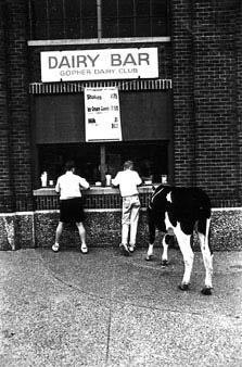 dairybar