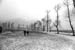 plateau