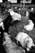 sheep clothing