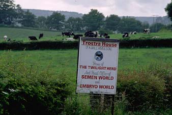 semenworld