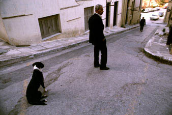 dogmanstreet