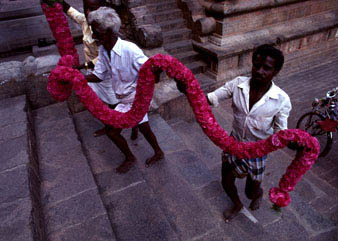 garland