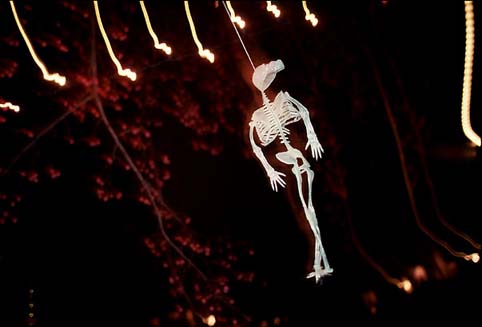 skeleton