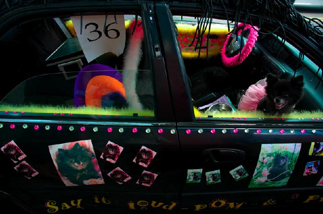 04artcar003