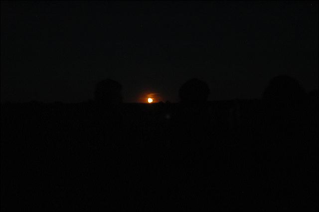 dsc_0533.jpg