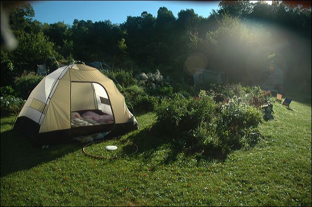 dsc_0571.jpg
