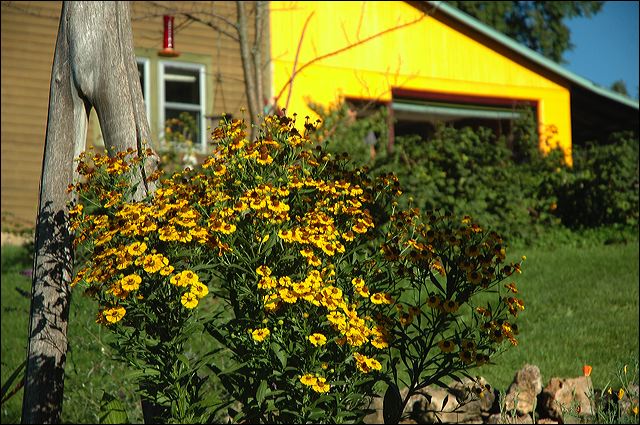 dsc_0595.jpg