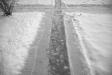 crosswalk