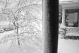 treepoleporch