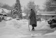 outfurasnowstroll