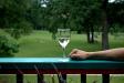 wineglasspartyportal