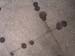 anthillart2