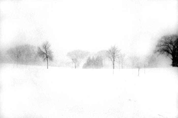 powderhornwhiteout