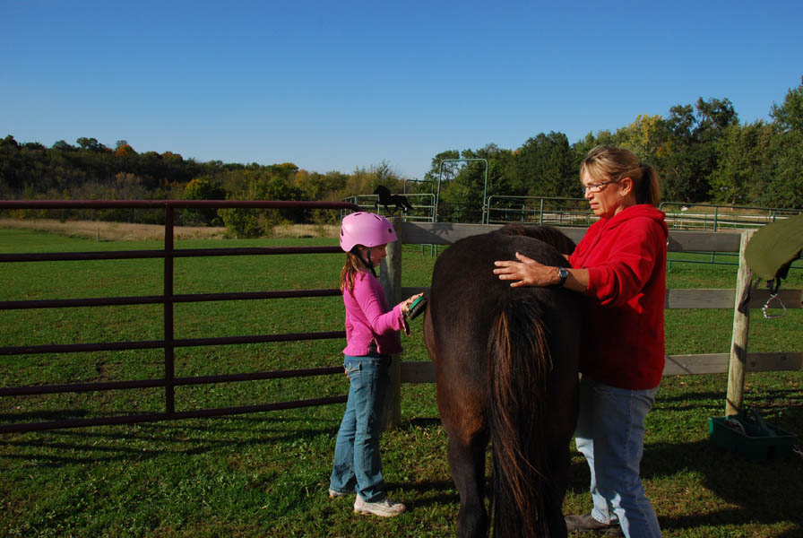 Proper grooming is one of  the basics of good horsemanship! 