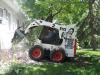 Nate in Bobcat