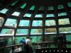 Seattle Aquarium