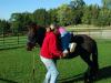 Thais gets assistance mounting her horse.