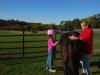Proper grooming is one of  the basics of good horsemanship! 